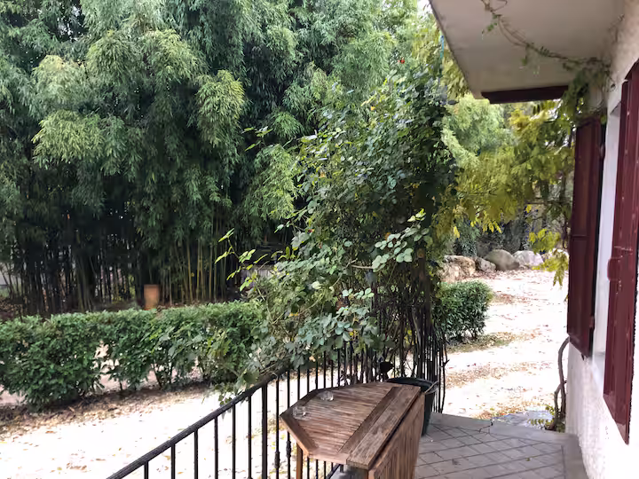 Les abords verdoyants du logement et sa terrasse couverte